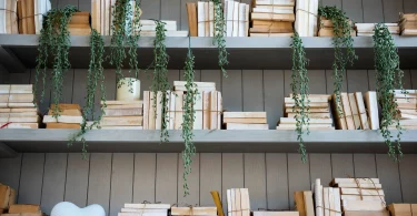 JAMB Recommended Textbooks for Igbo